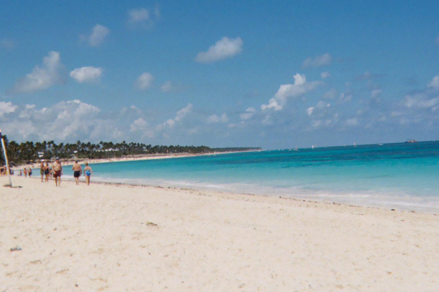 lori  daniels banner