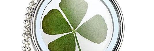 ecardenasr's profile banner image