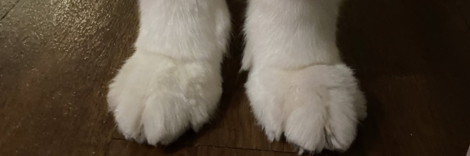 emilym_p's profile banner image