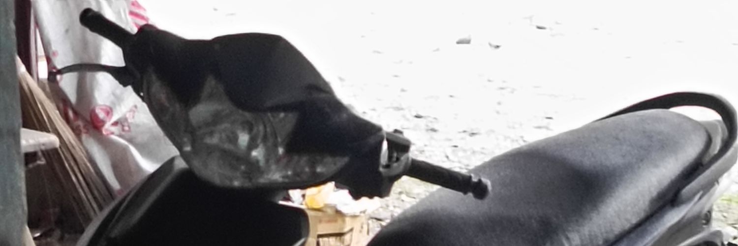 _damsir's profile banner image