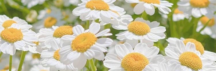 HeyletBeurself's profile banner image