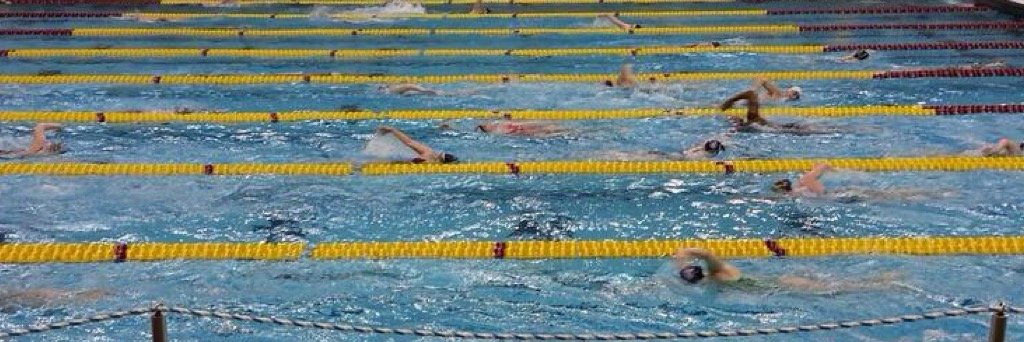 HUSwimAndDive's profile banner image