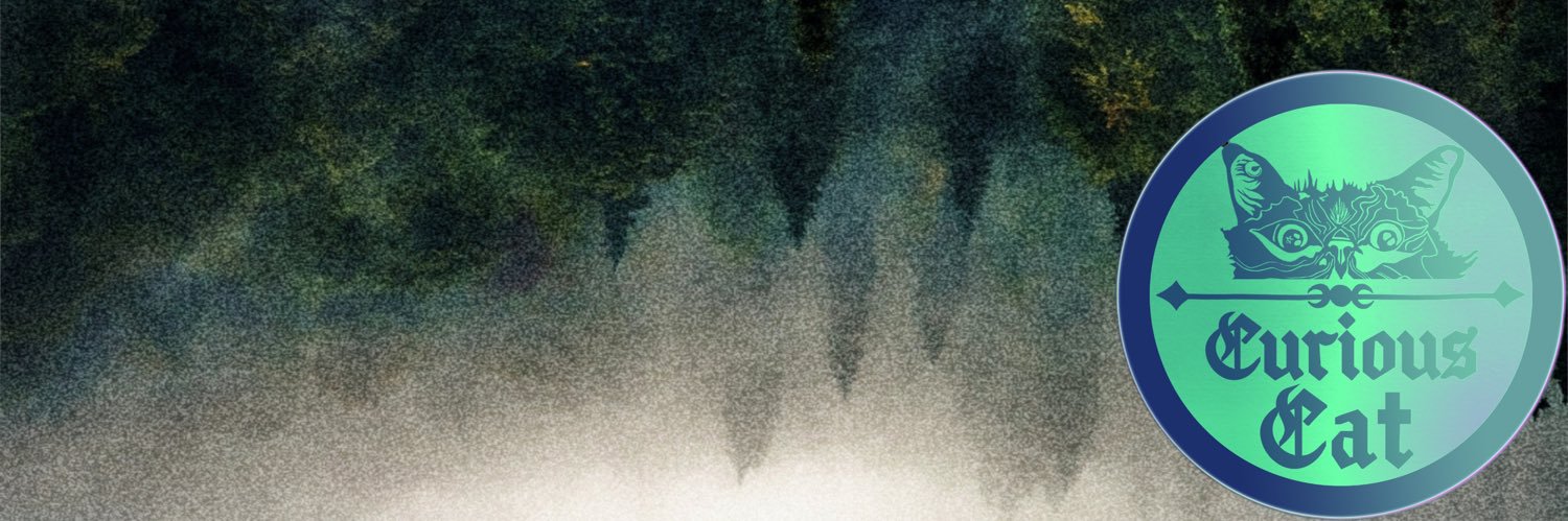 Jennifer Hotes banner