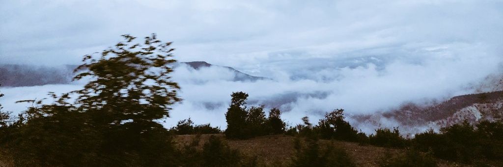 محمدمهدی banner
