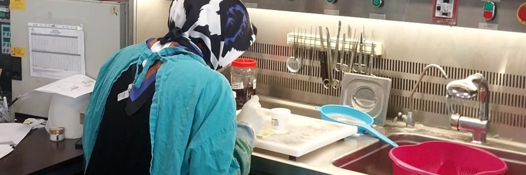 Dr Aygün Yörükoğlu banner