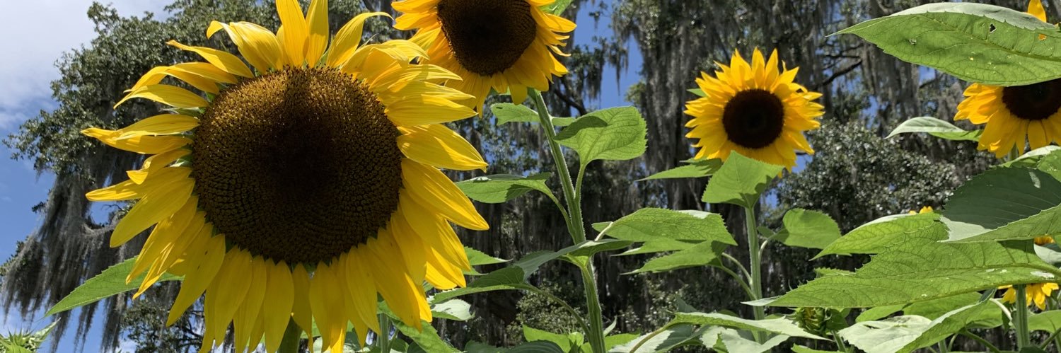pretty_britty20's profile banner image