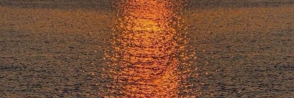 Amanda🇺🇸 banner