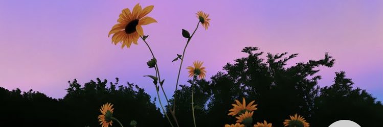 SunsetsAfrican's profile banner image