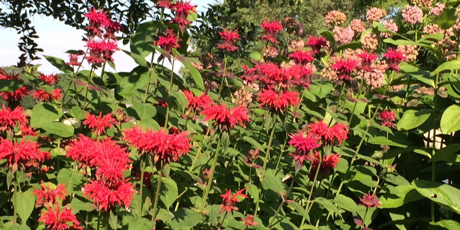 bjtesch's profile banner image