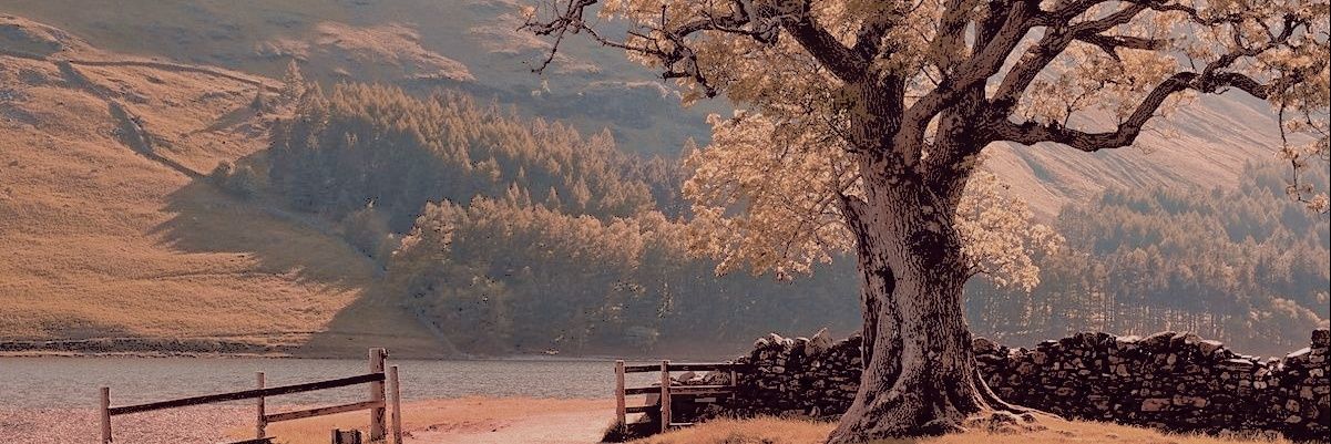 IC4NTHELPMYSELF's profile banner image