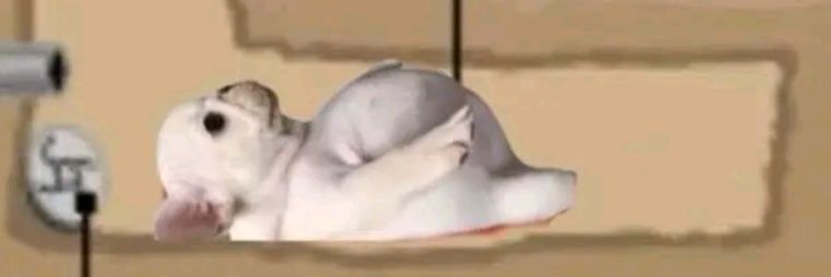 public universal idiot -_- banner