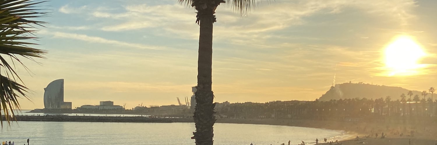 drociorocio's profile banner image