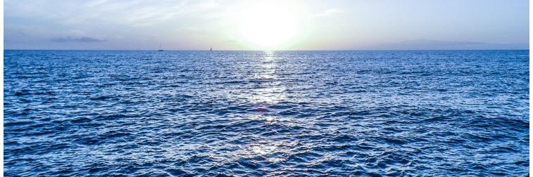 Scientific_Writing banner