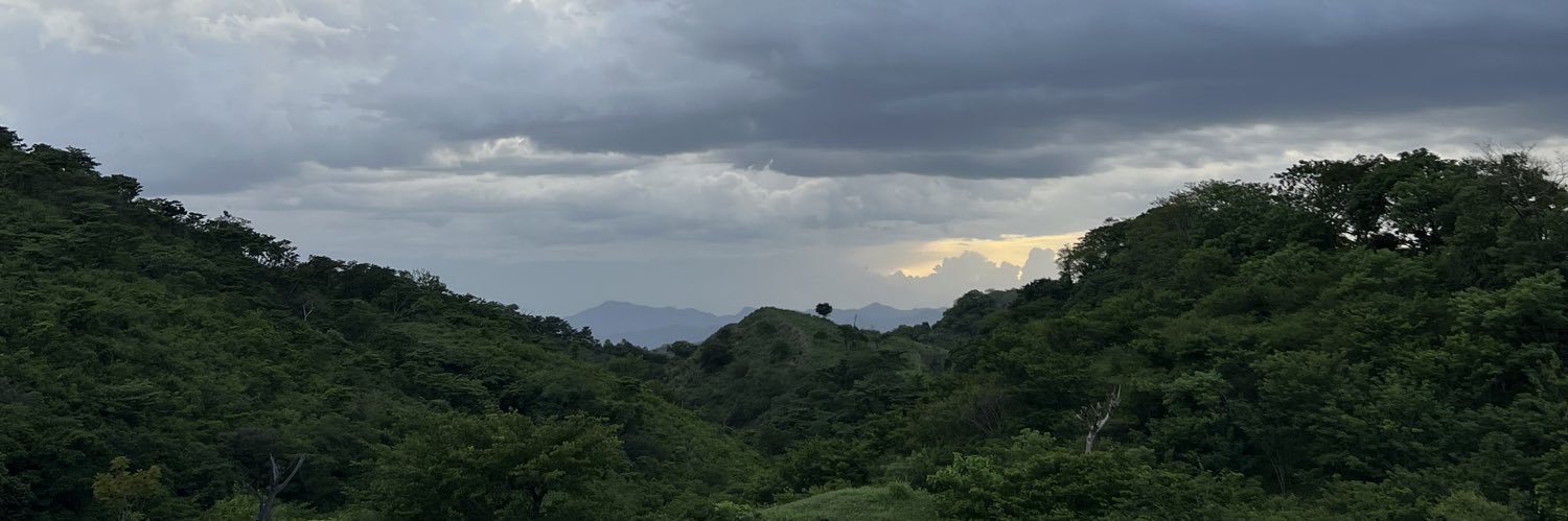 rebecaaaboo's profile banner image