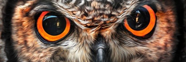 Anamariapq's profile banner image