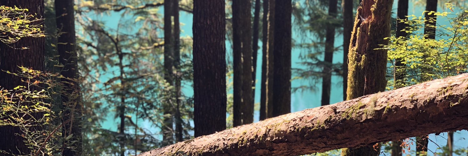 Celia Darrough Terrazas banner