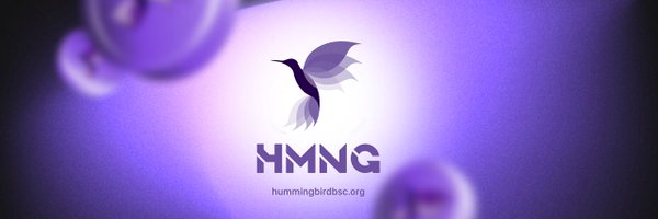 HmngBsc Profile Banner