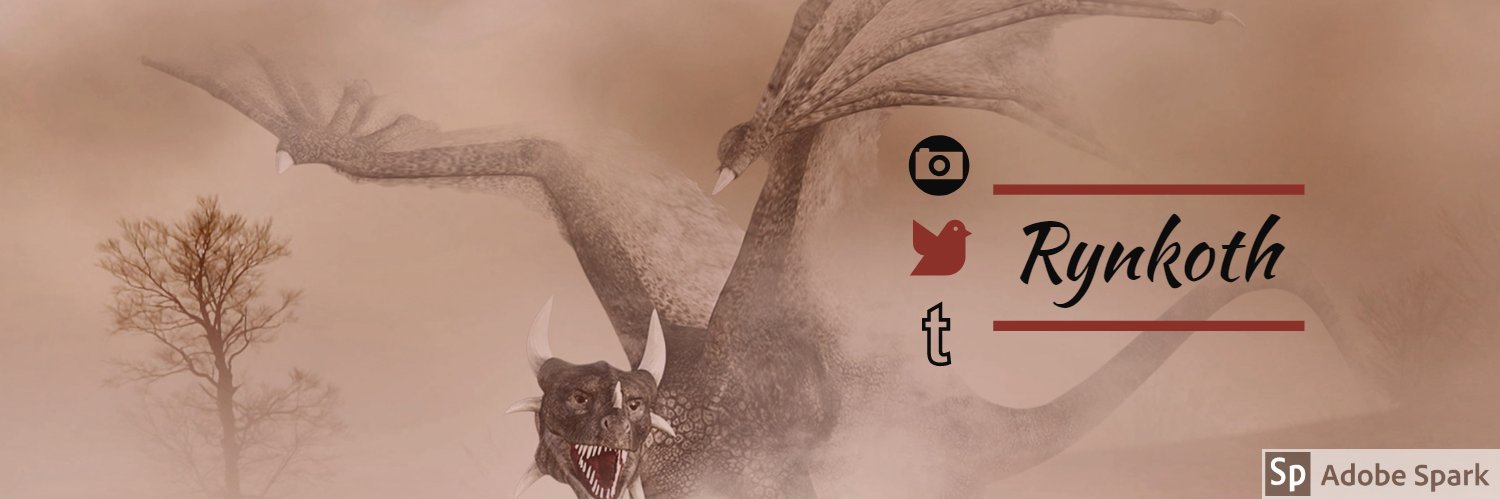 Rynkoth's profile banner image