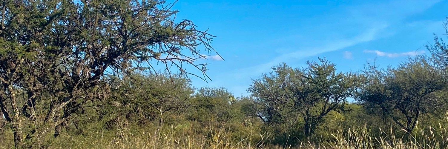 Danisalcedos's profile banner image