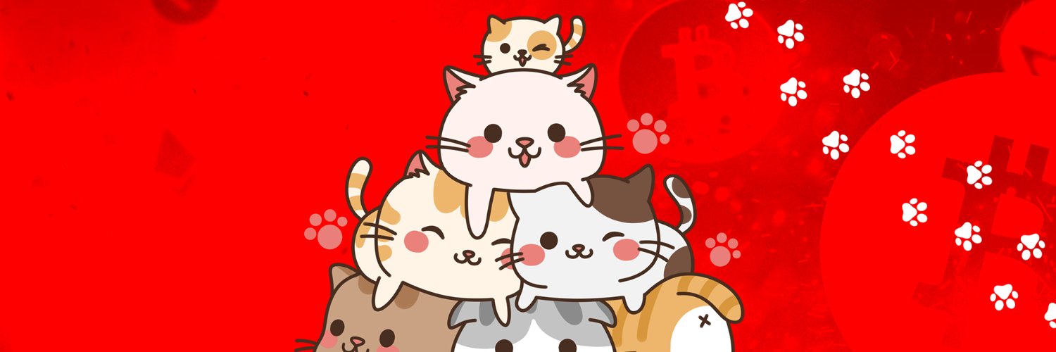 CryptoCeku's profile banner image
