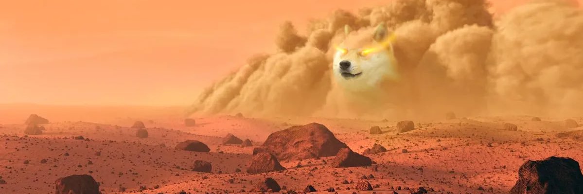 ShitCoinDoge's profile banner image