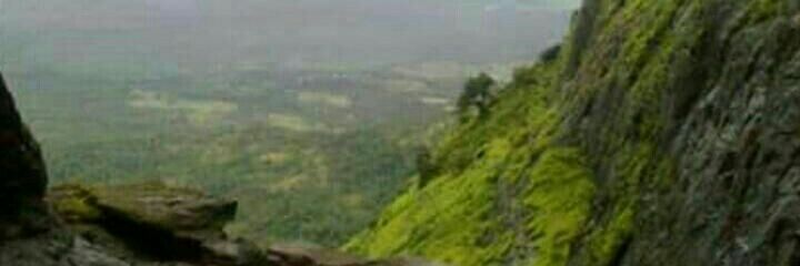 madz1186's profile banner image
