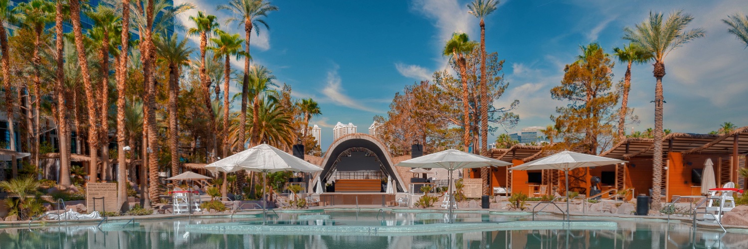 EliaBeachLV banner