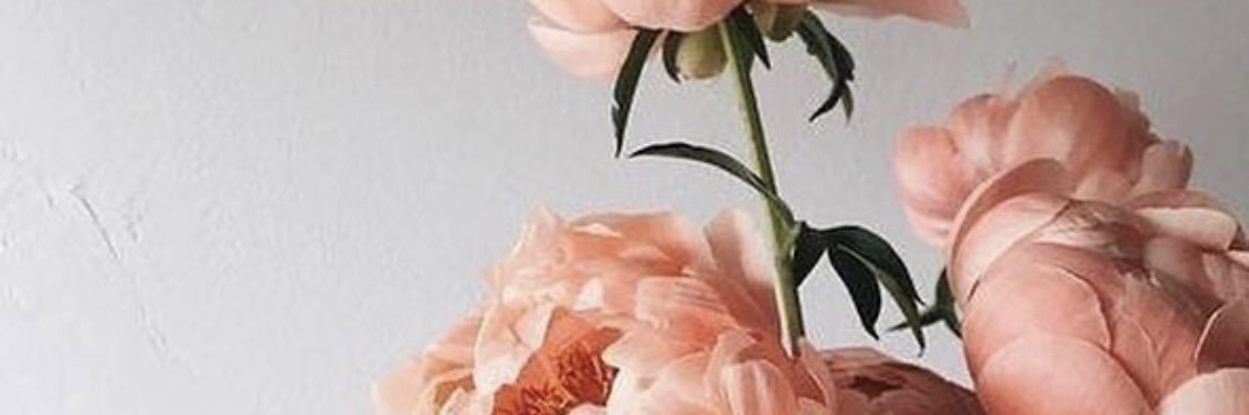 lisafenimore's profile banner image