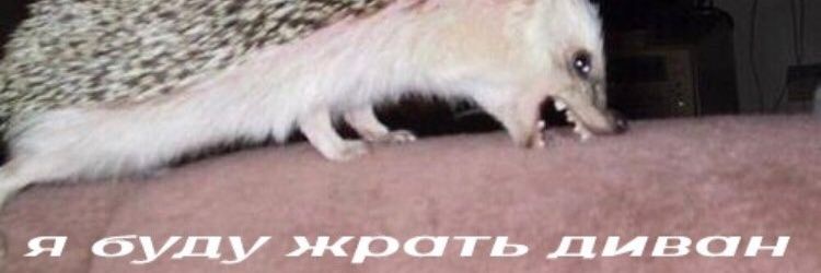 _aweisz's profile banner image