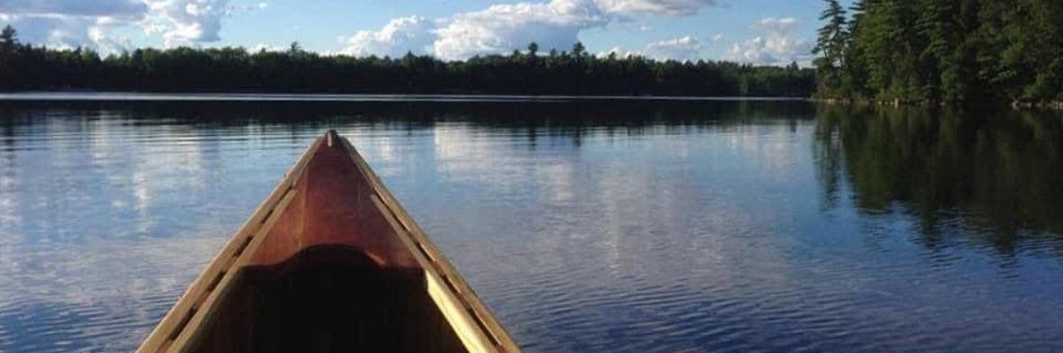 Michael Kelly banner