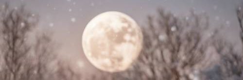 どっこいたみーや banner