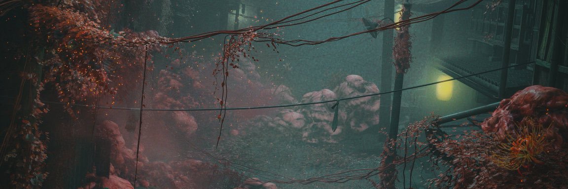 🪷🌺Luka🌺🪷 banner