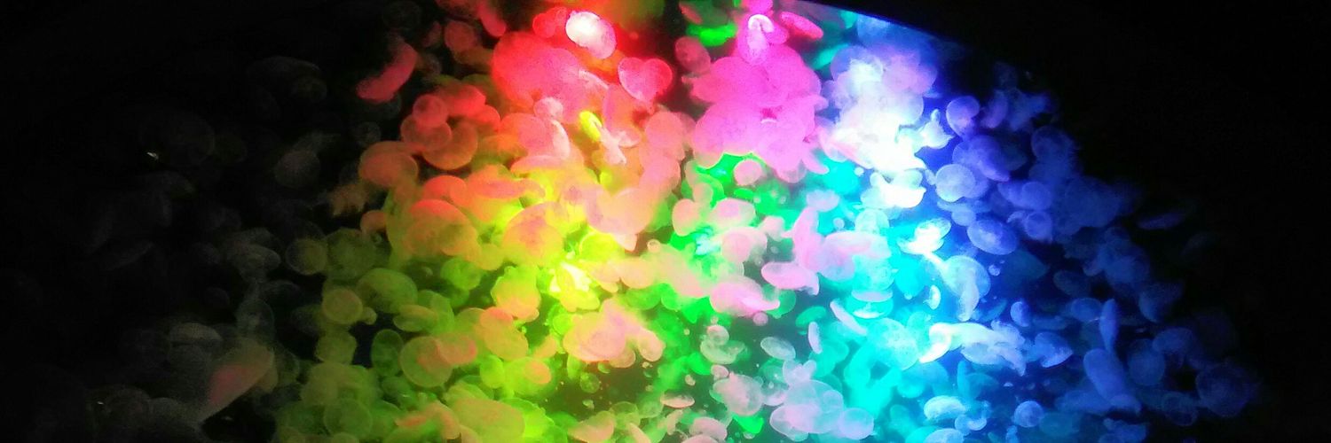 Muchaco1031's profile banner image