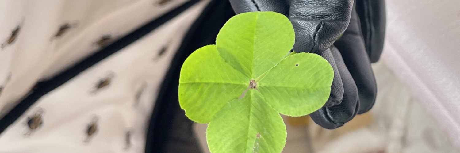 Lambersky1's profile banner image