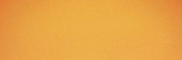 Davide24235669 Profile Banner