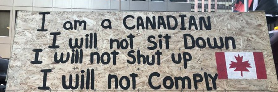 Melanie McCurdie - Evil Genius banner