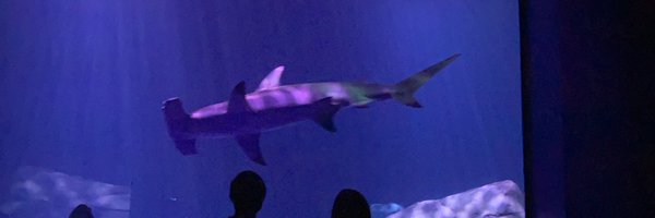 BlakeDBeaton Profile Banner