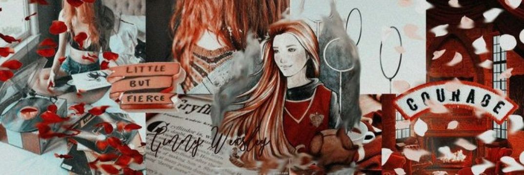 𝒢𝐈𝐍𝐍𝐘 𝒲𝐄𝐀𝐒𝐋𝐄𝐘. banner