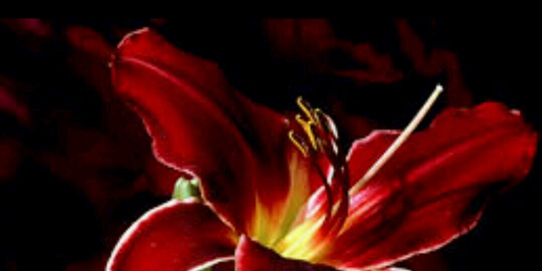 _Daly_M's profile banner image