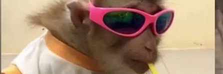 albx97_'s profile banner image