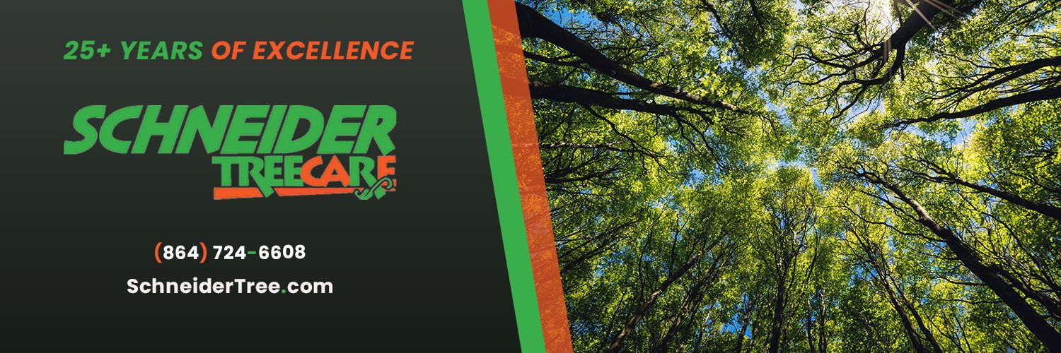 Schneider Tree Care banner