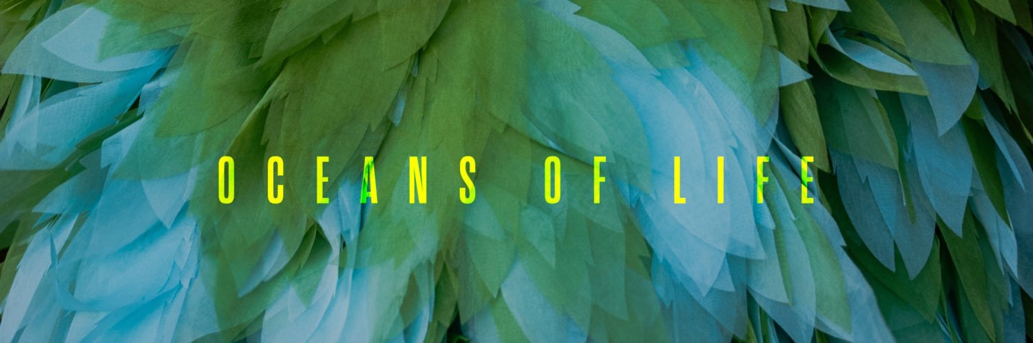 Starfishariel's profile banner image