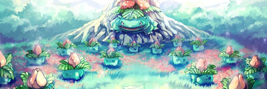codisia's profile banner image
