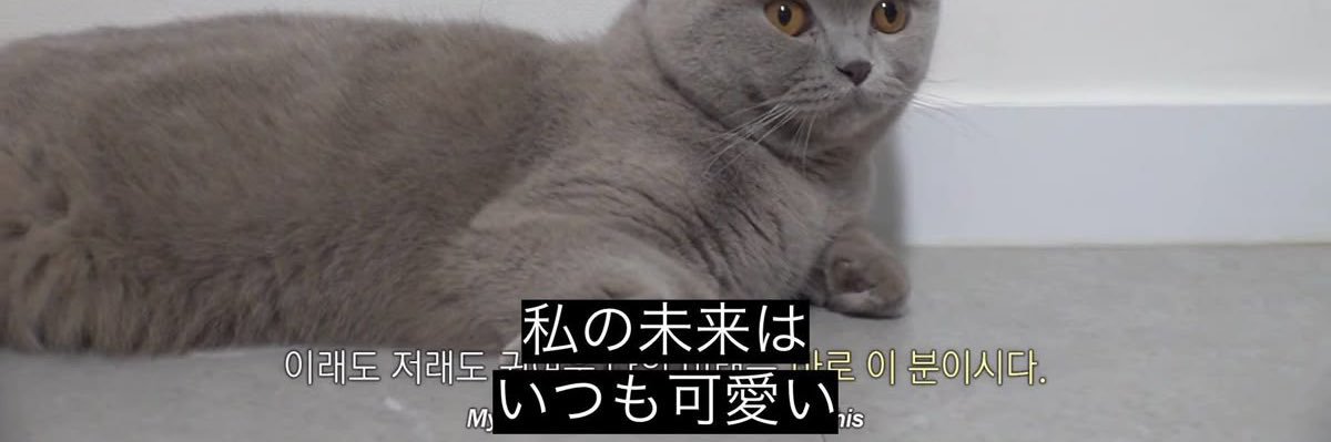Virgo_____rose's profile banner image