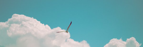 tomzhengy Profile Banner
