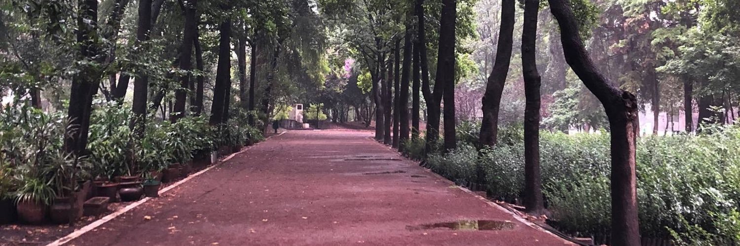 Elisa Iracheta banner