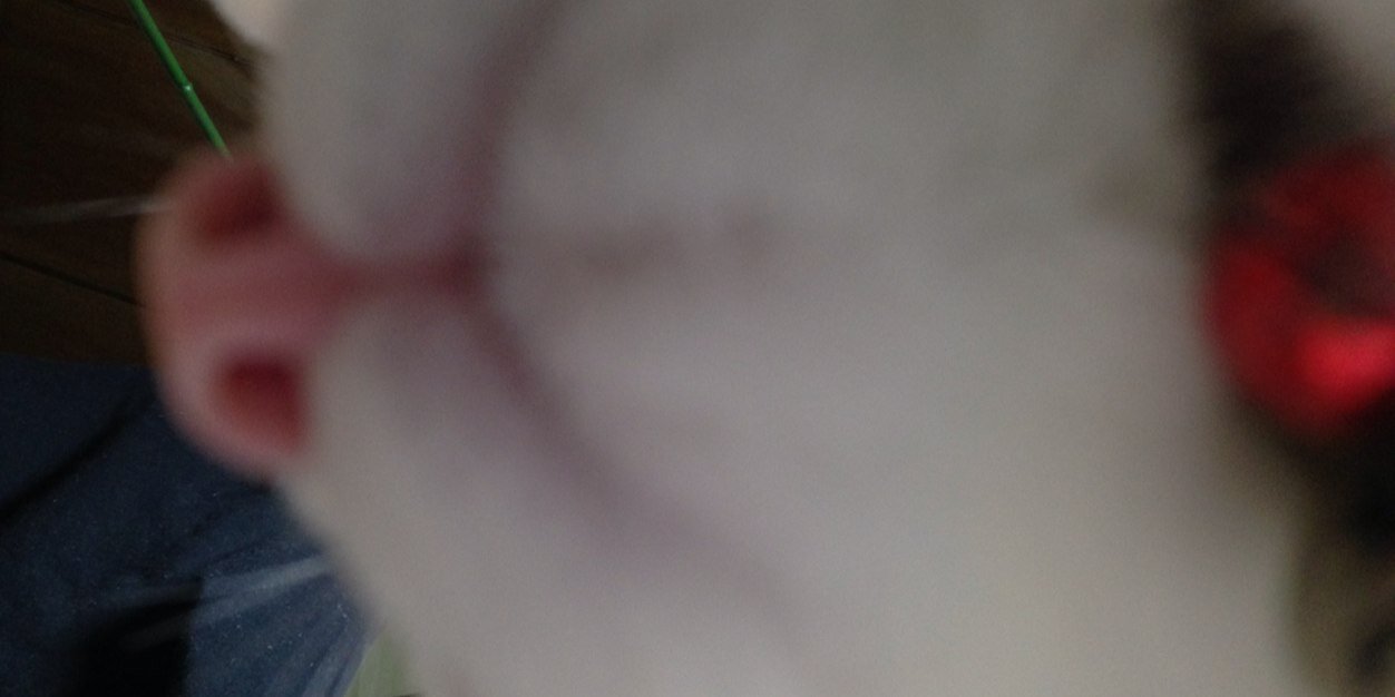 snp717's profile banner image
