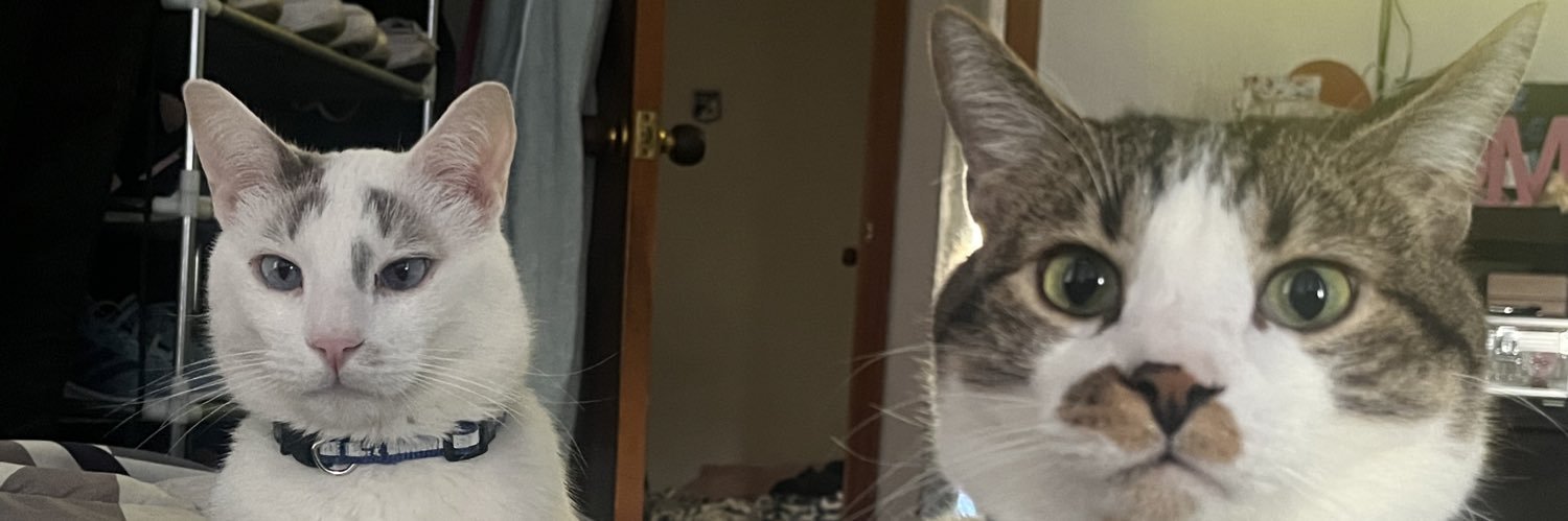 Laure banner