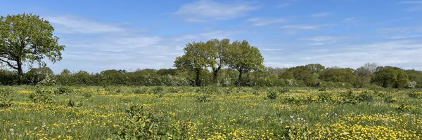 BenGoldsmith Profile Banner