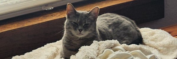 AdamBetz32 Profile Banner